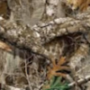 Meet your Posher, Benjamin